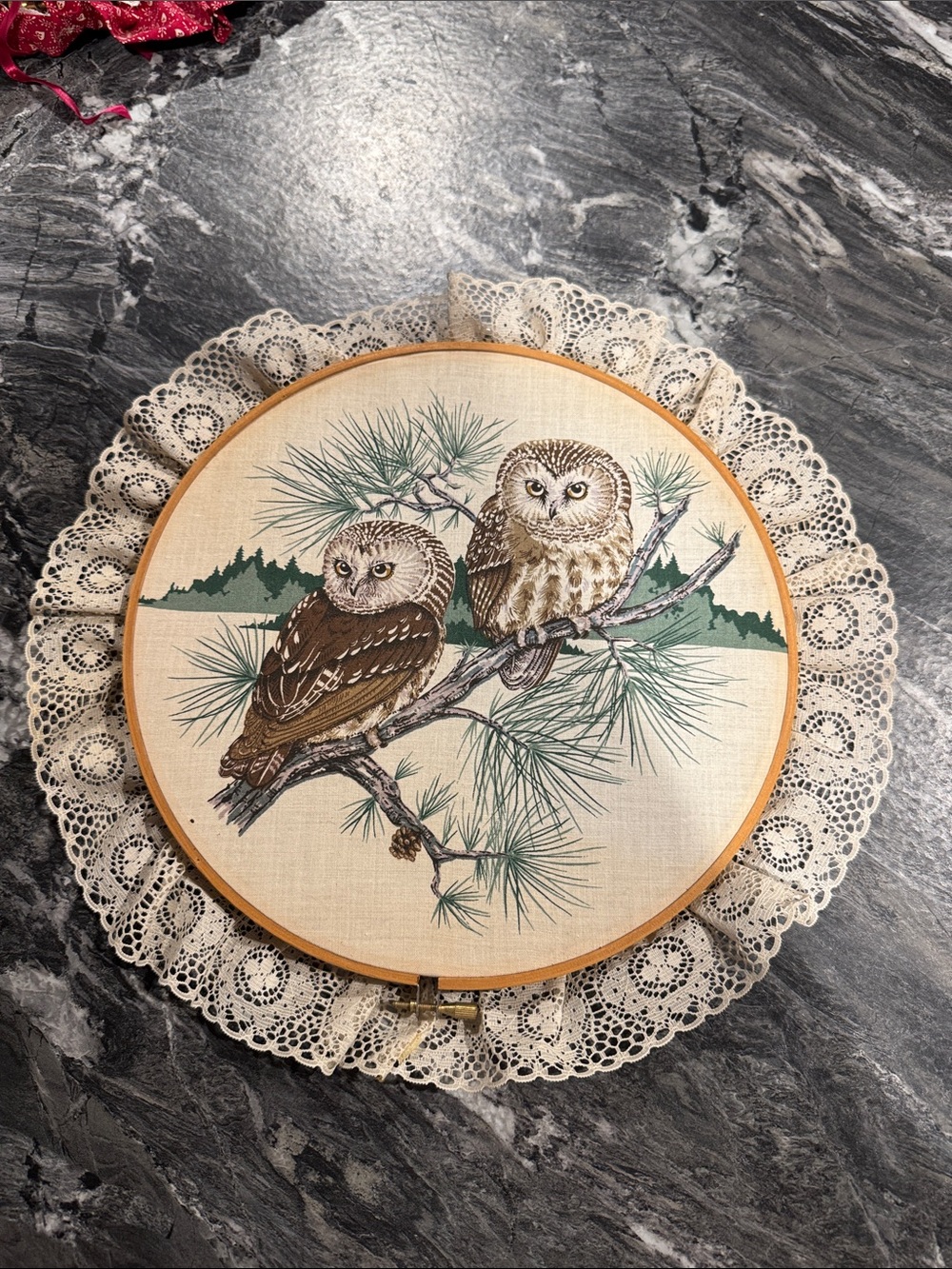 MCM Groovy Owl Hoop Wall Art - Lace Trim